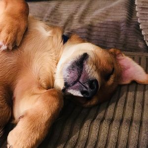 Meet your Posher, Eve